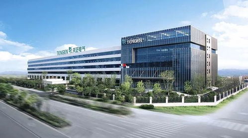 柳市電氣成功上市，“中國電器之都”三巨頭資本市場會(huì)師