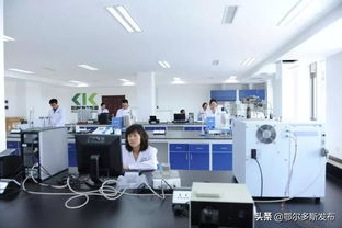 鄂爾多斯再出科技新政 技術(shù)開發(fā)與轉(zhuǎn)讓最高補貼3000萬，賦能區(qū)域創(chuàng)新高地建設(shè)